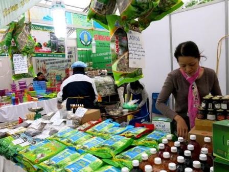 Tăng cường quảng bá nông sản an toàn Việt Nam ra thế giới - ảnh 2